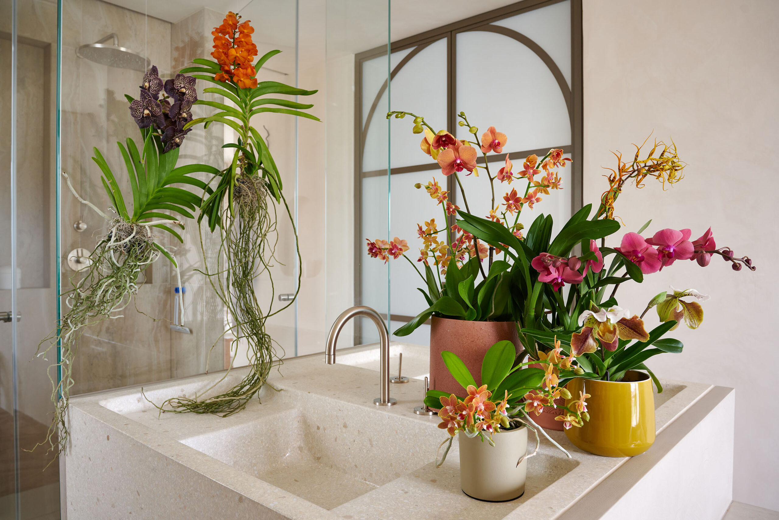 Tipps Für Die Gestaltung Ihres Badezimmers Mit Orchideen